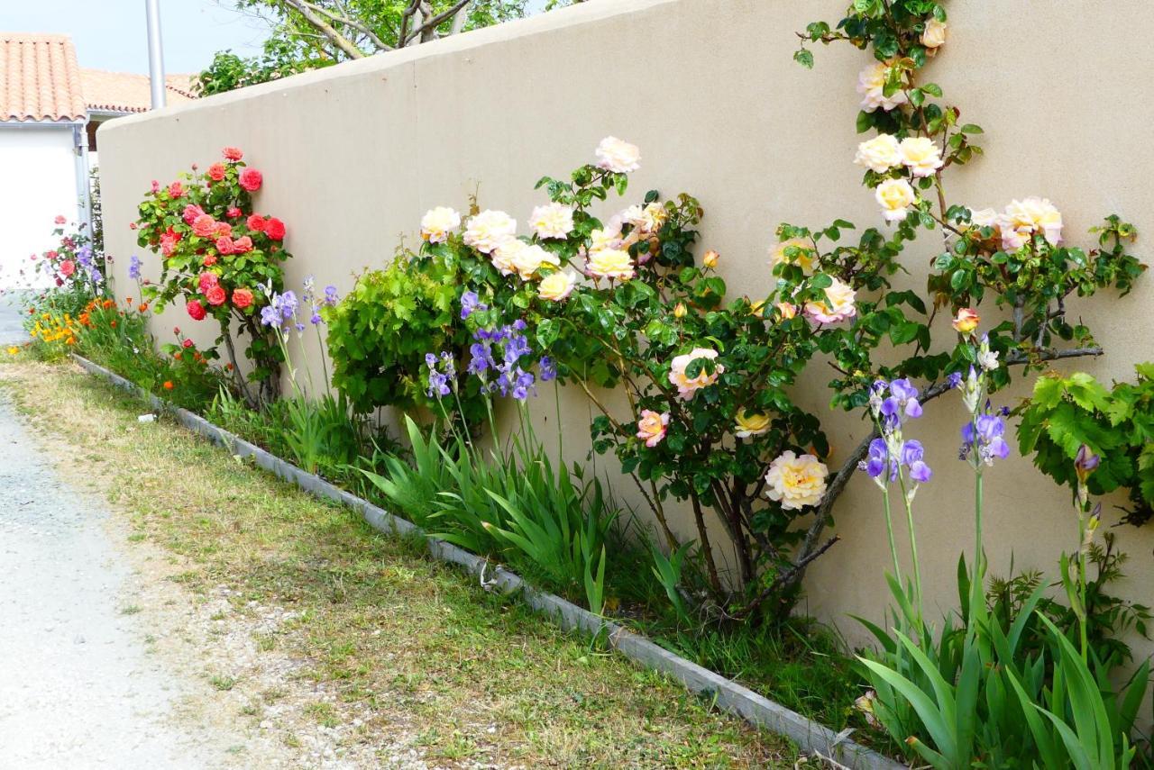 La Passerose 3 Pieces Avec Jardin Au Calme,A 300M De La Plage, Bed & Breakfast La Couarde-sur-Mer Exterior photo